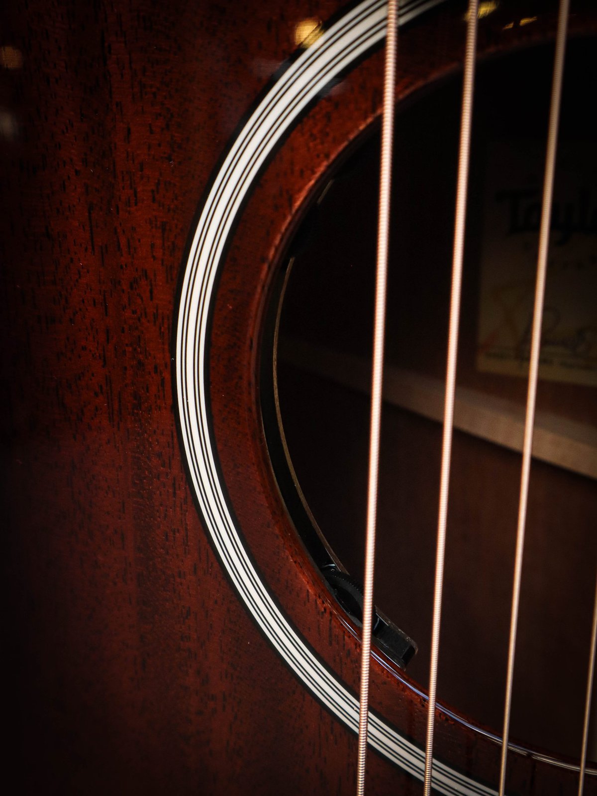 Taylor 324ce Nouvelle Génération – Image 8