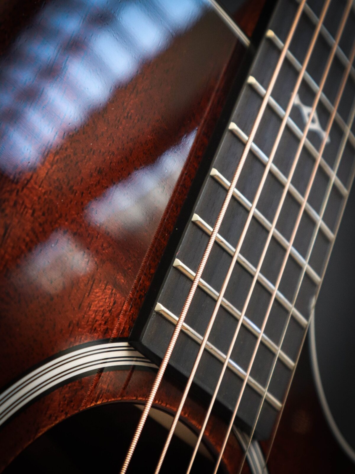 Taylor 324ce Nouvelle Génération – Image 6