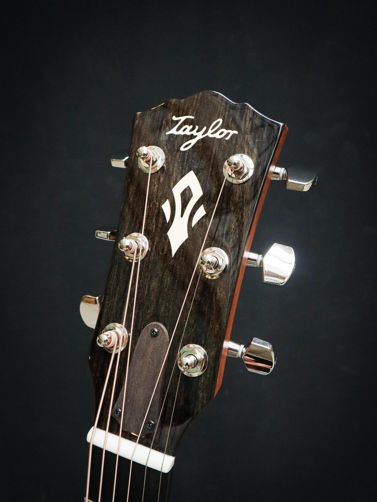 Taylor Gold Label 710e – Image 8