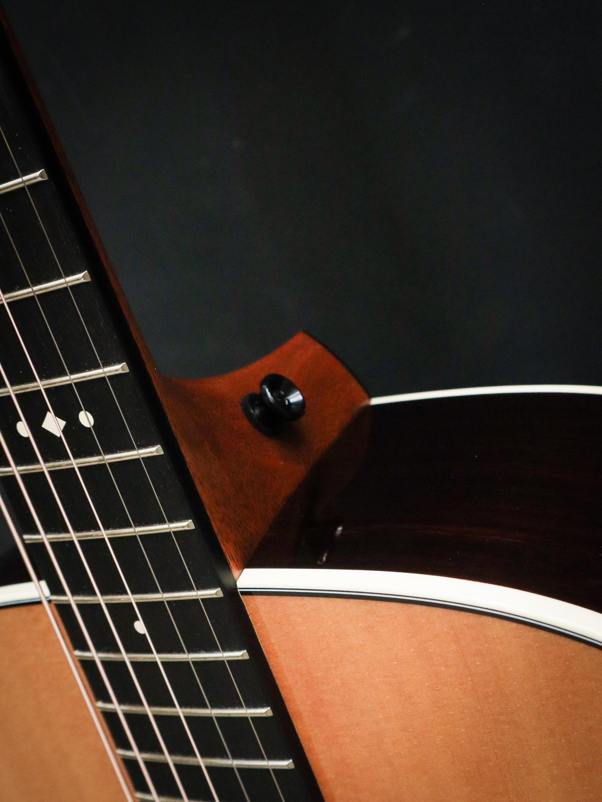 Taylor Gold Label 710e – Image 9
