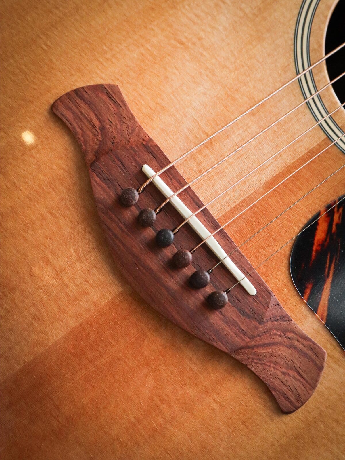 Taylor Gold Label 710e – Image 6