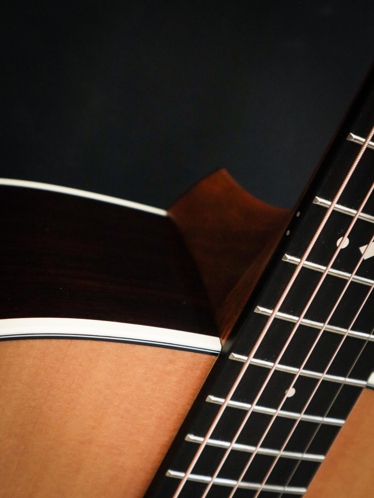 Taylor Gold Label 710e – Image 10