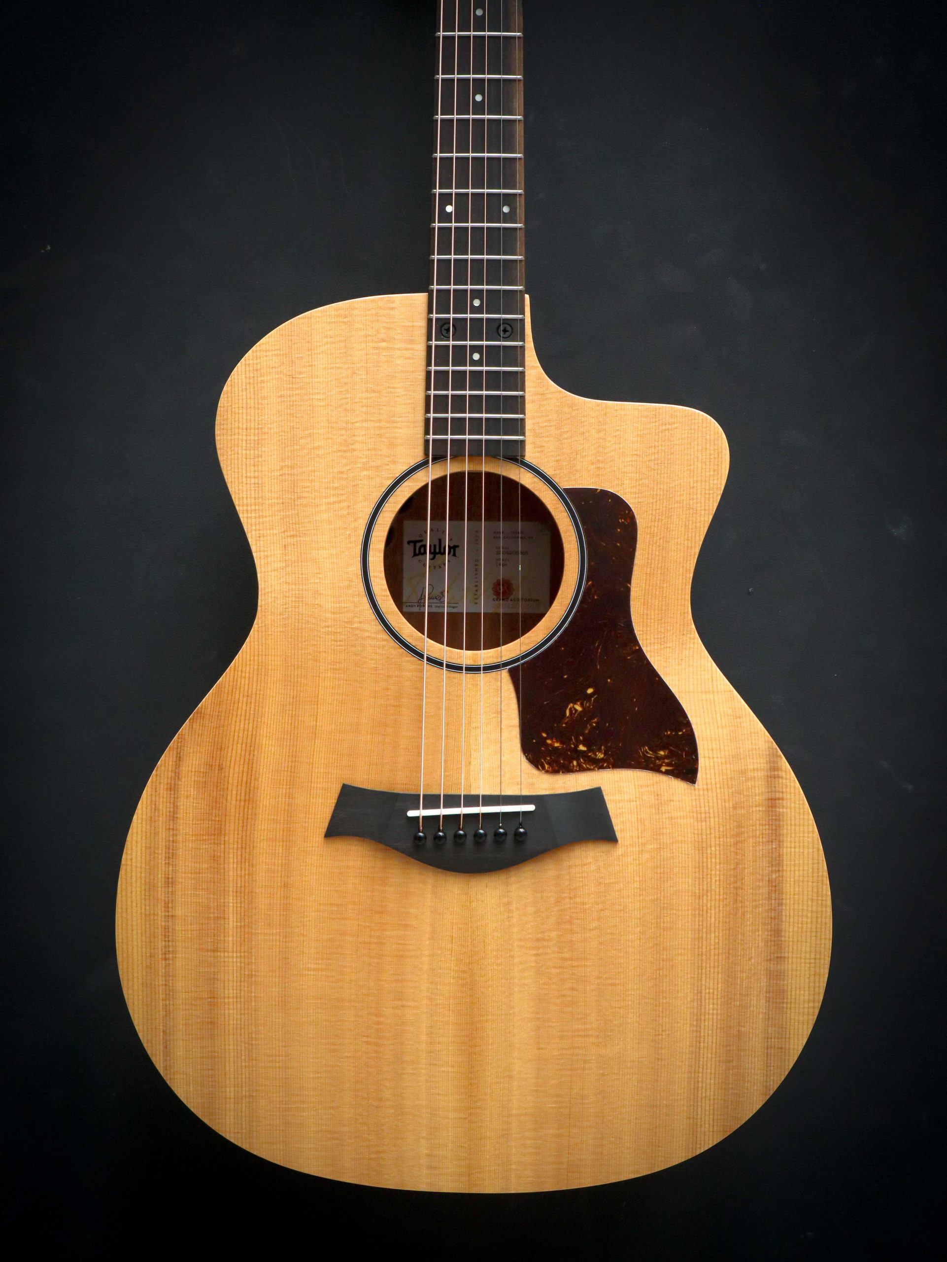 Taylor 14ce – Image 3