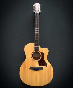 Alternative view of Taylor 14ce