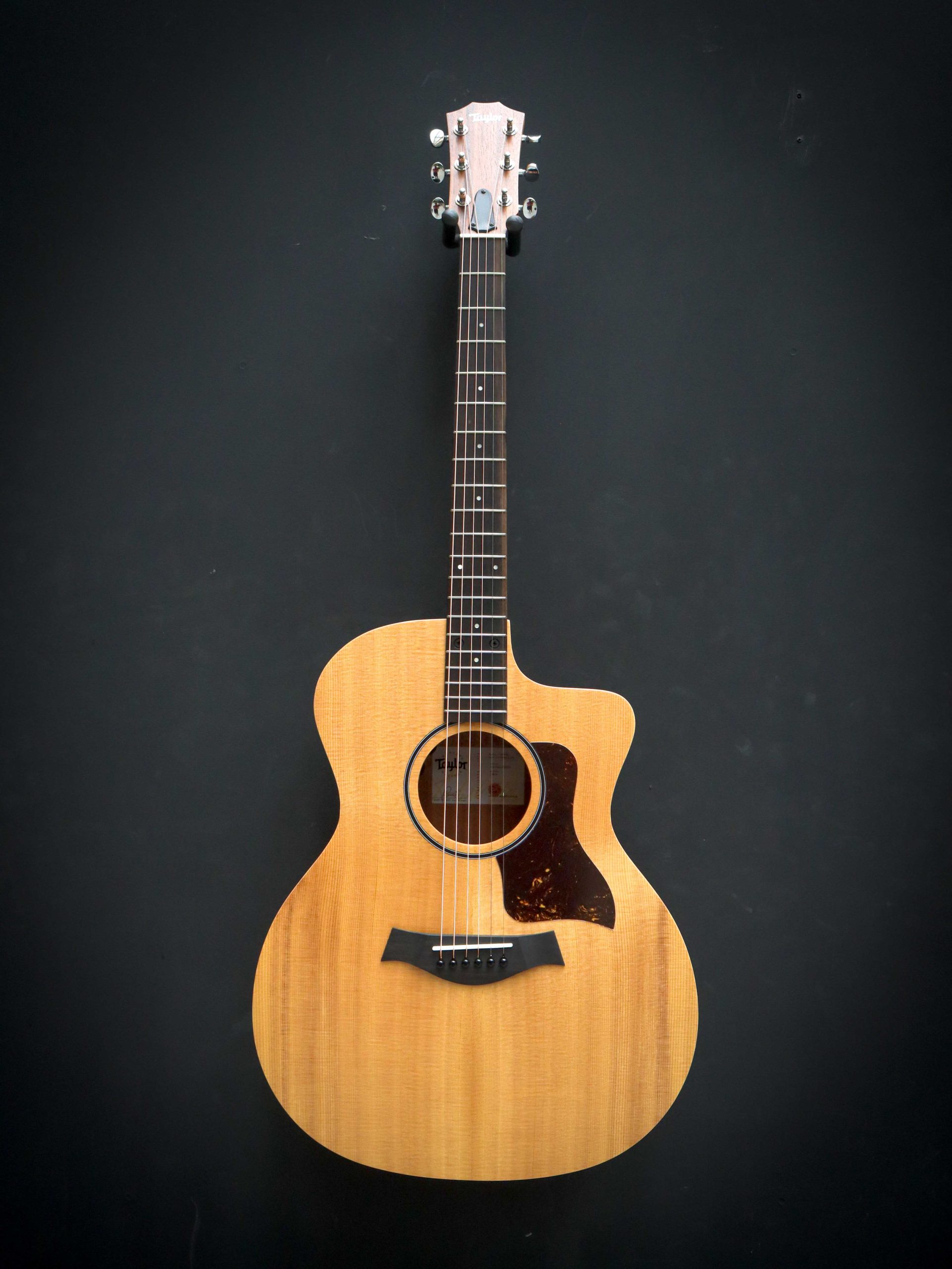 Taylor 14ce – Image 2