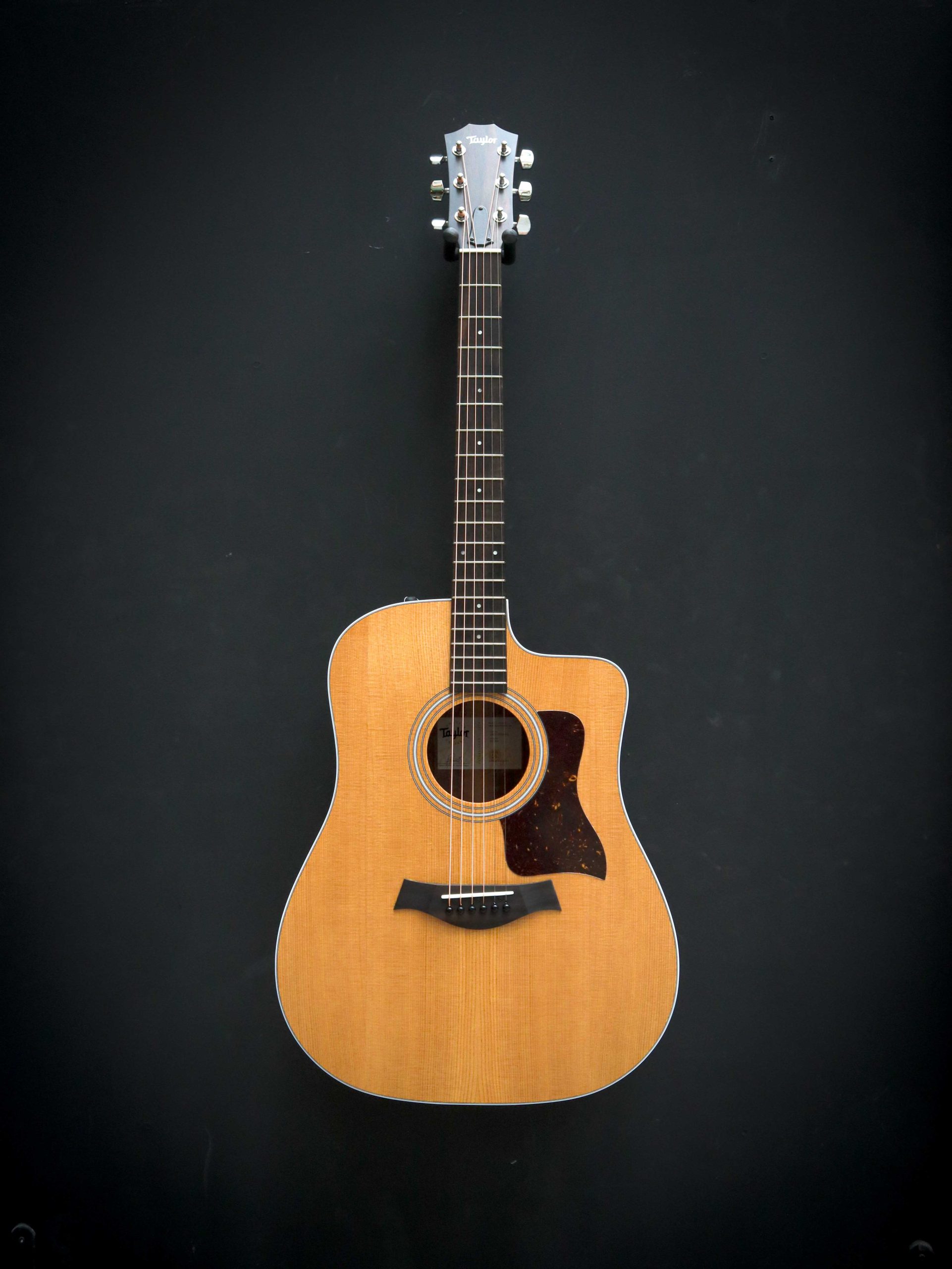 Taylor 210ce – Image 2