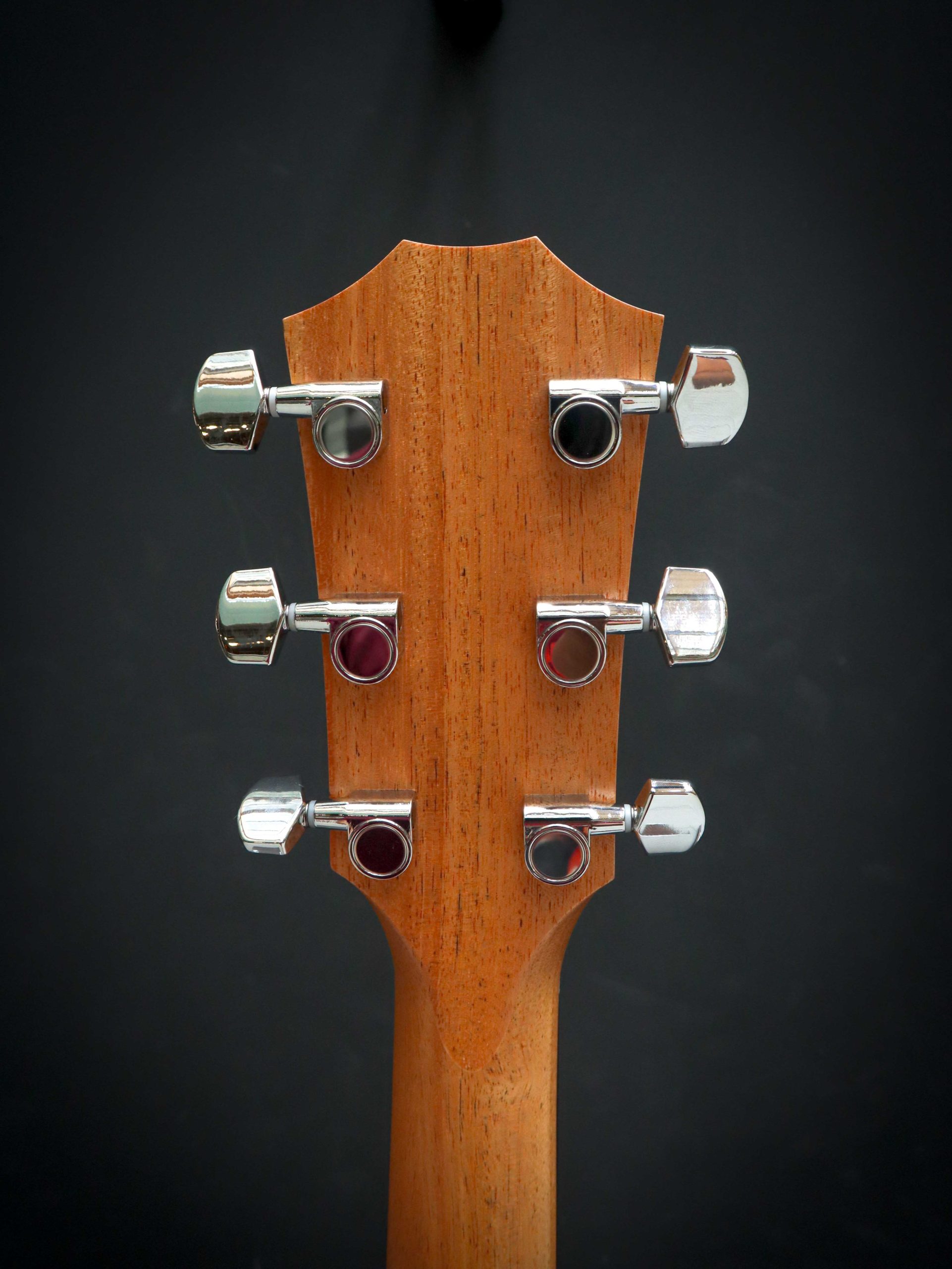 Taylor 210ce – Image 10