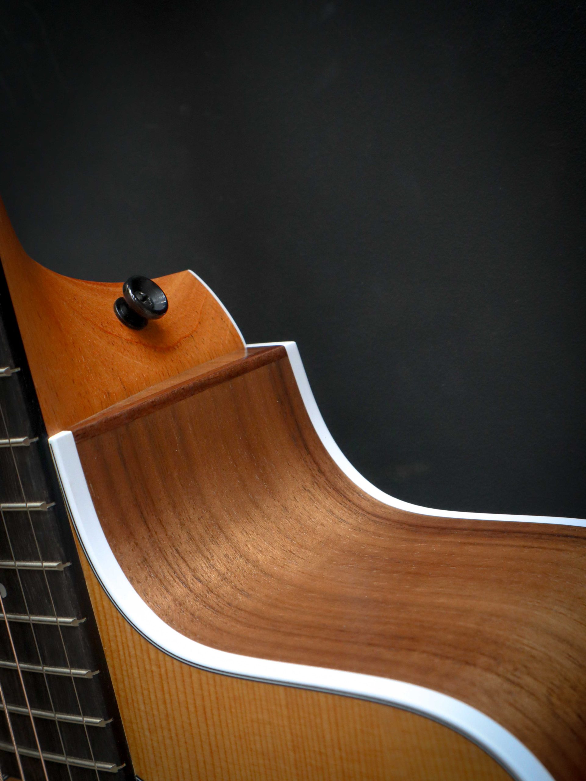 Taylor 210ce – Image 8