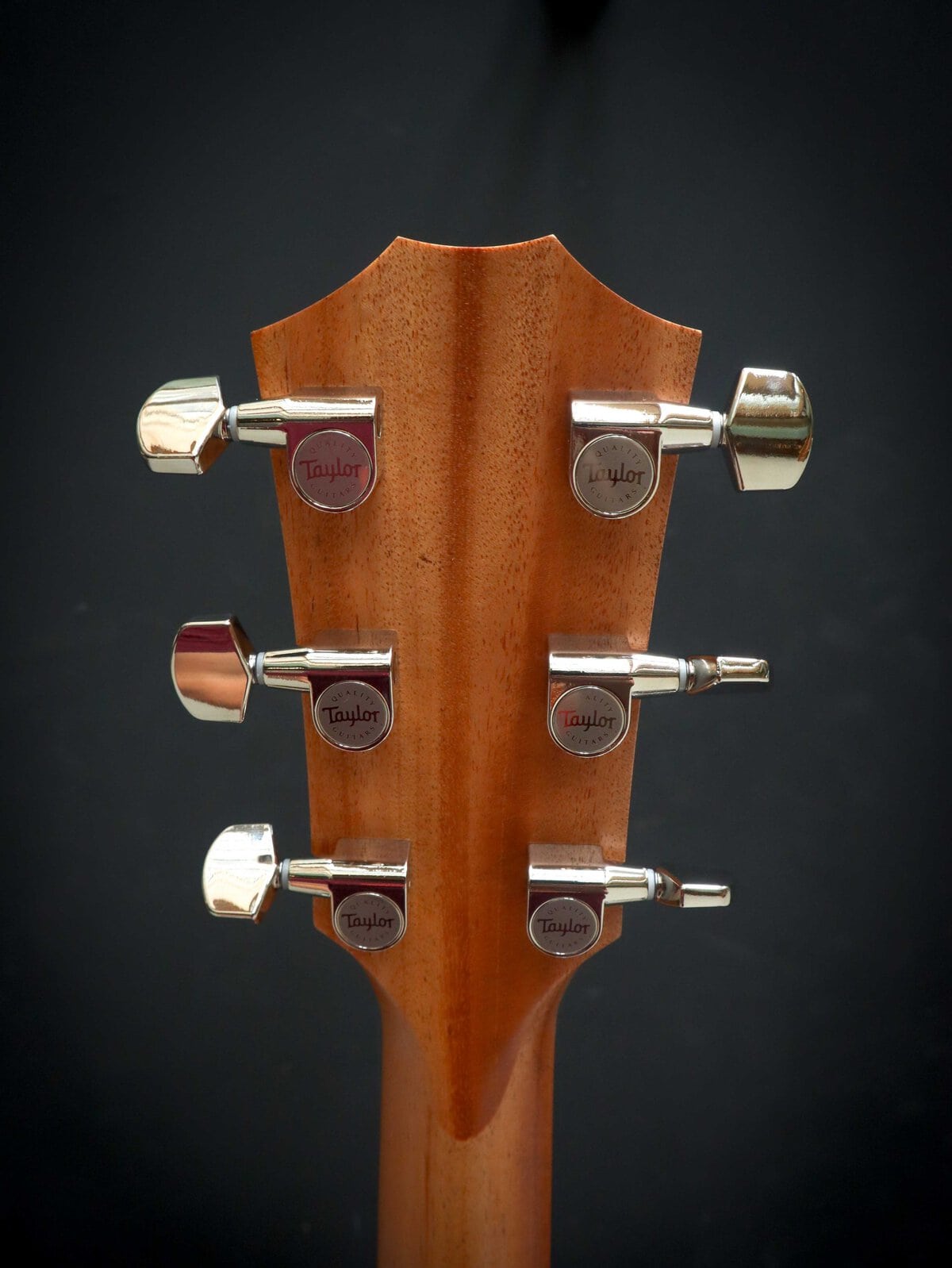 Taylor 214ce Plus – Image 10