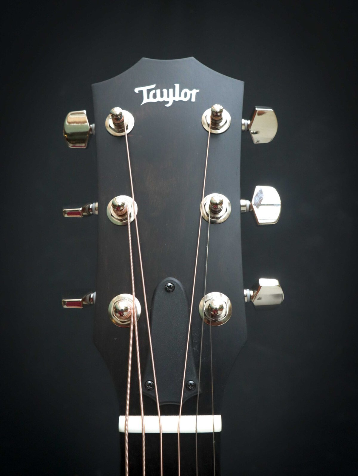 Taylor 214ce Plus – Image 9