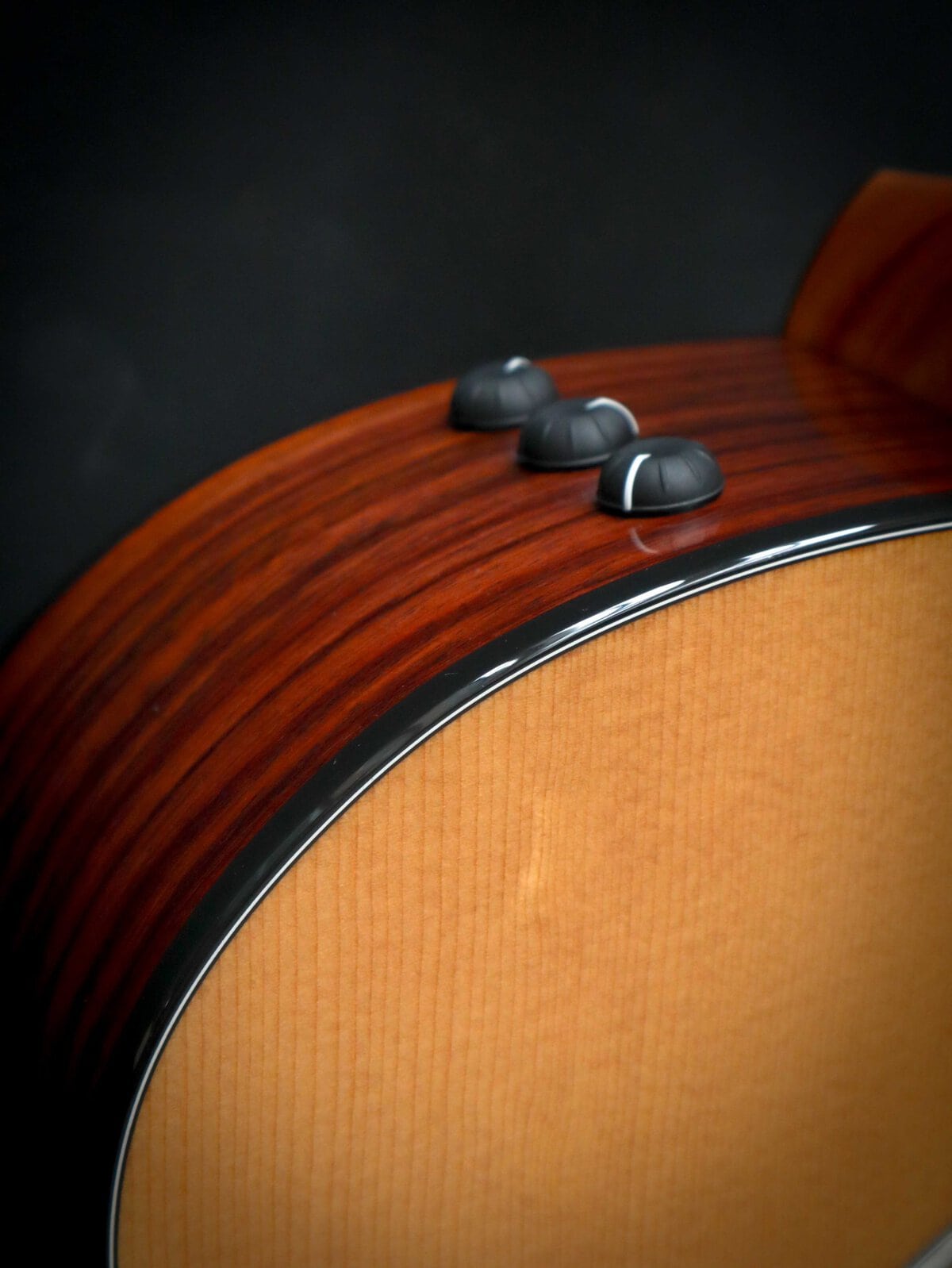 Taylor 214ce Plus – Image 5