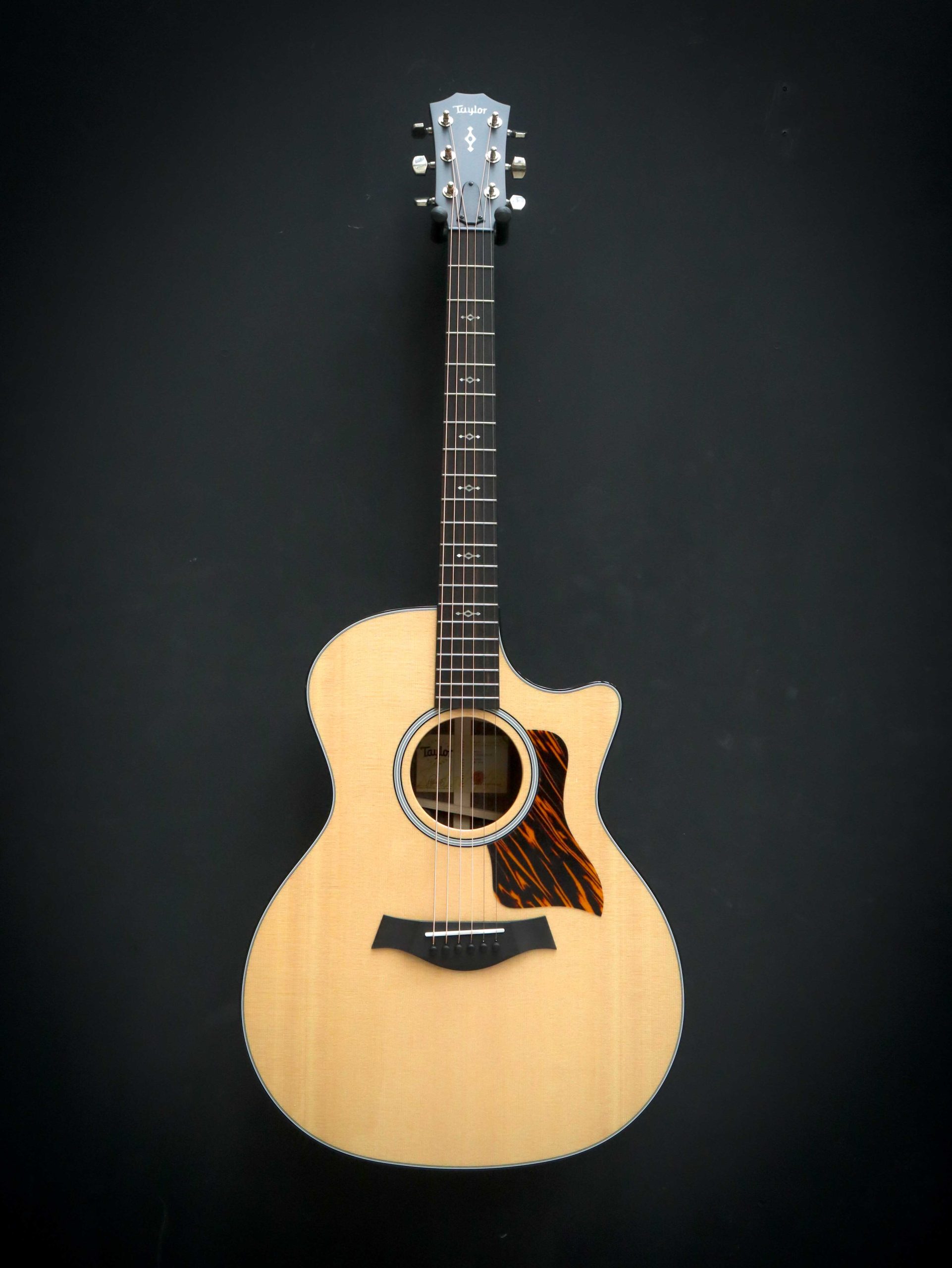 Taylor 414ce Next Generation – Image 2