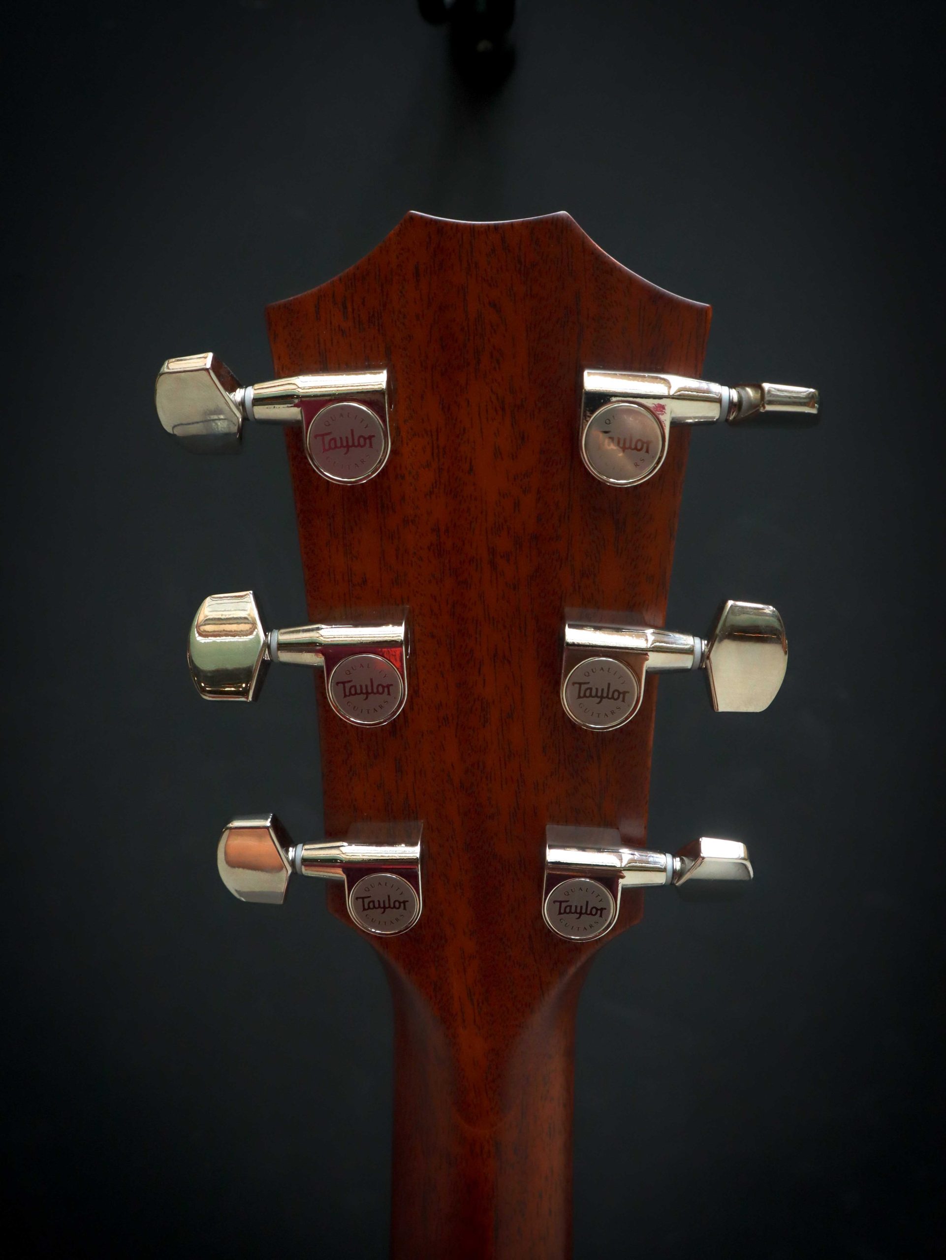 Taylor 414ce Next Generation – Image 11