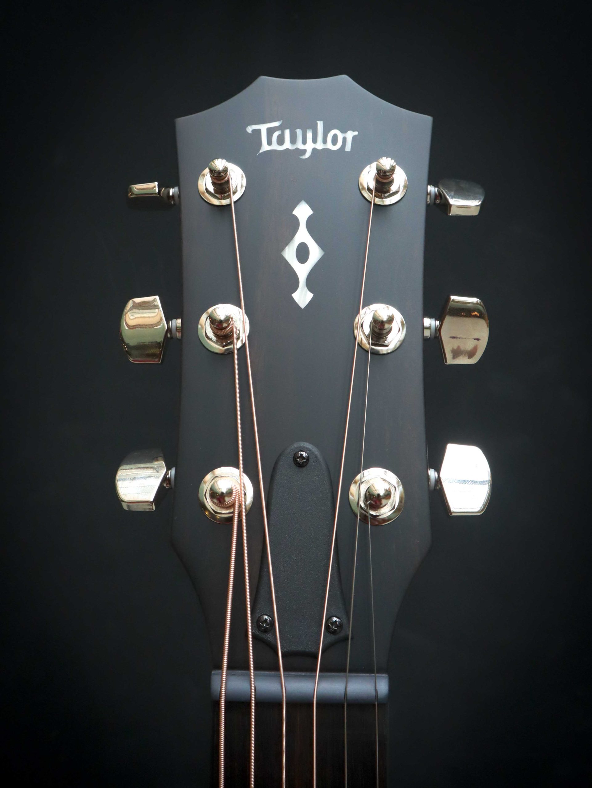 Taylor 414ce Next Generation – Image 10