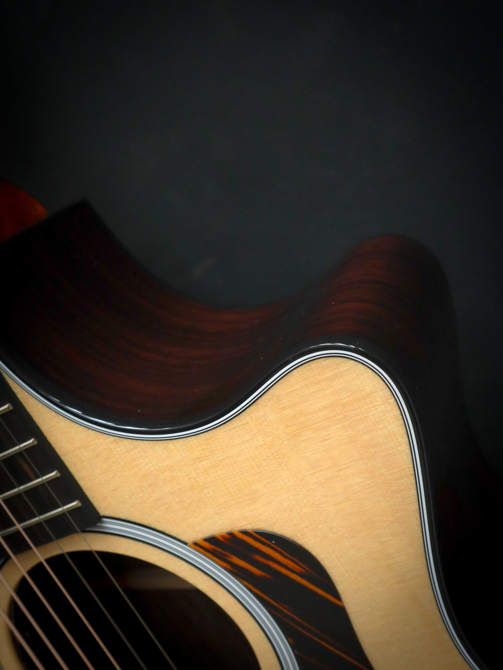 Taylor 414ce Next Generation – Image 9