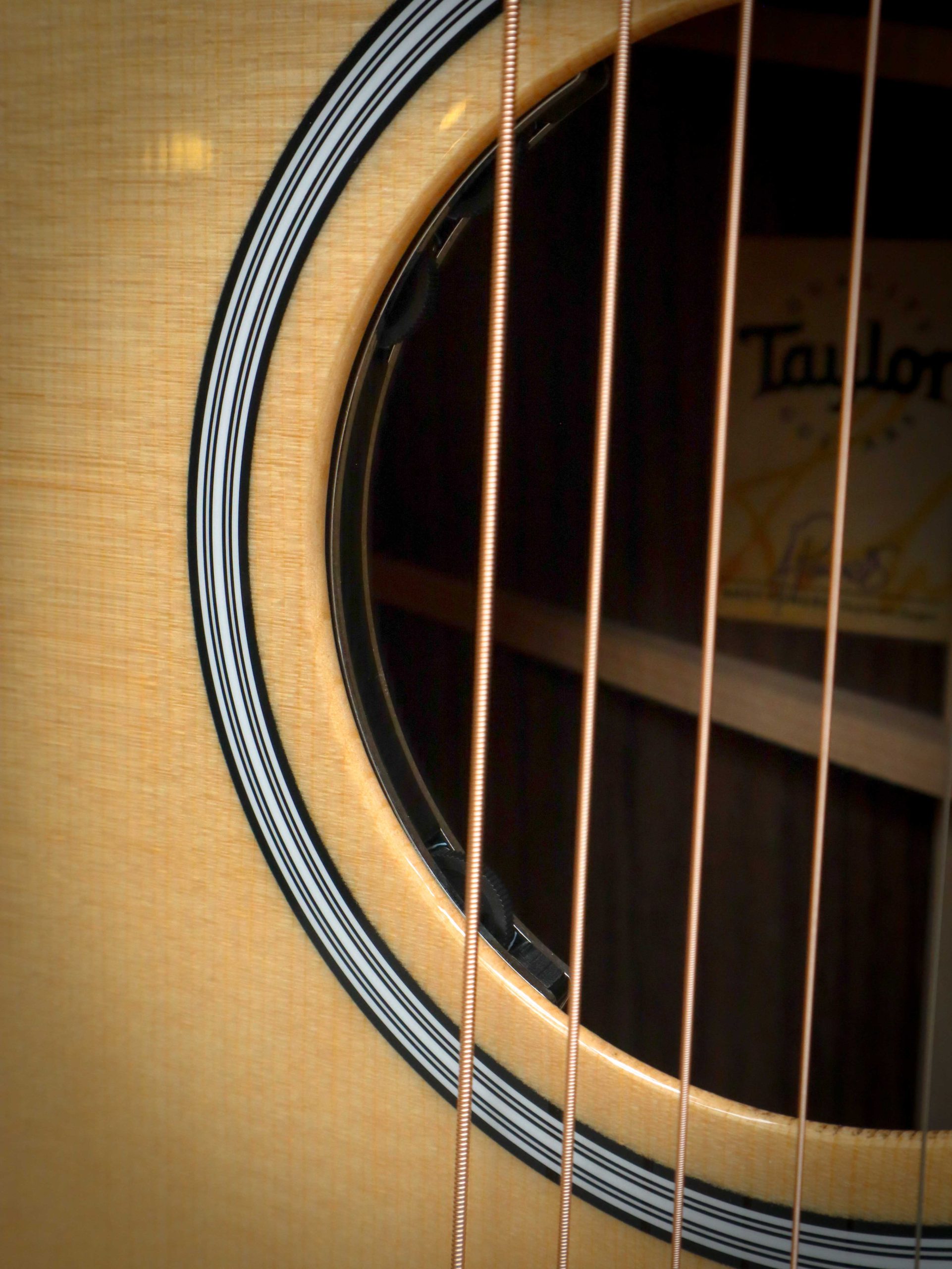 Taylor 414ce Next Generation – Image 7