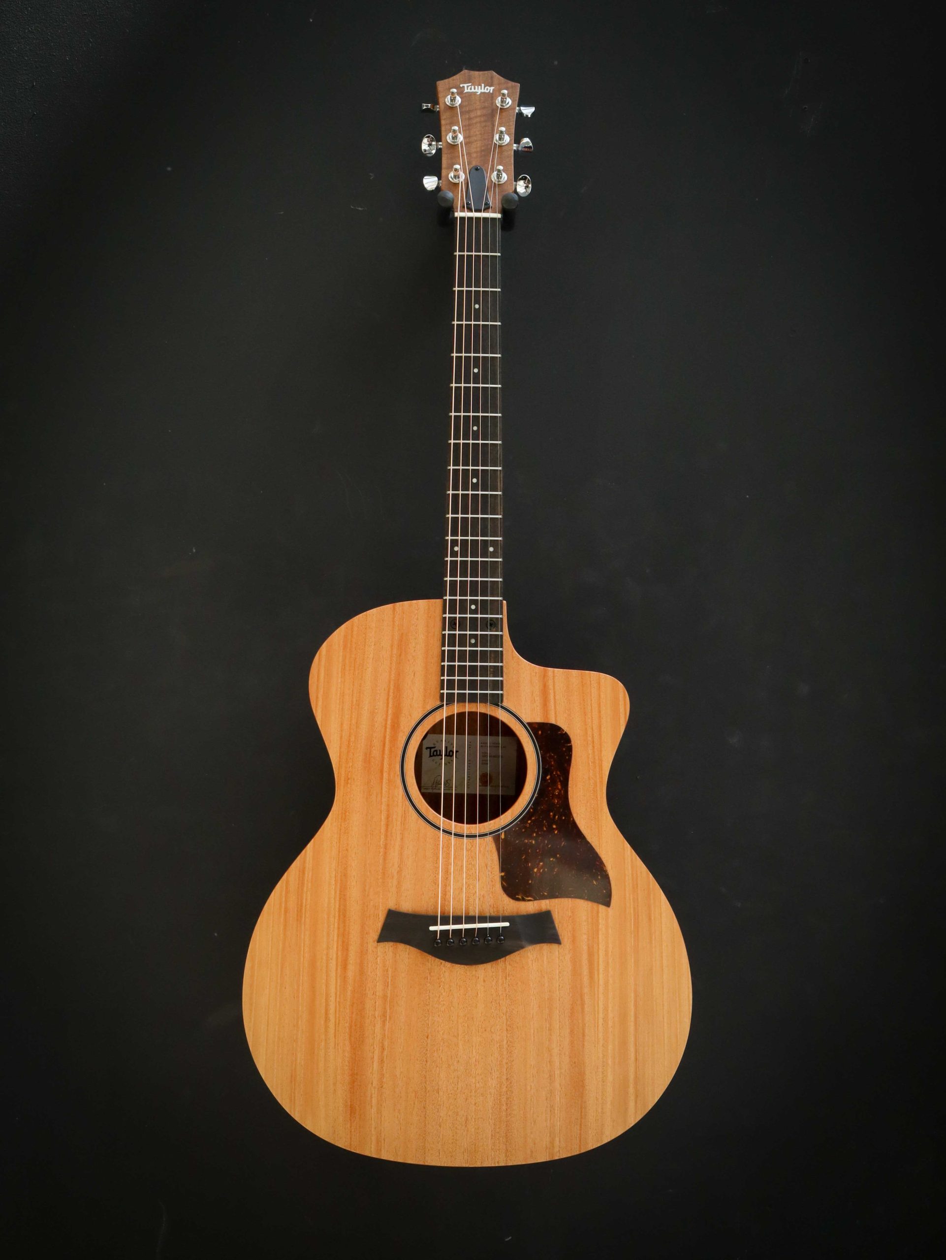 Taylor 24ce – Image 2