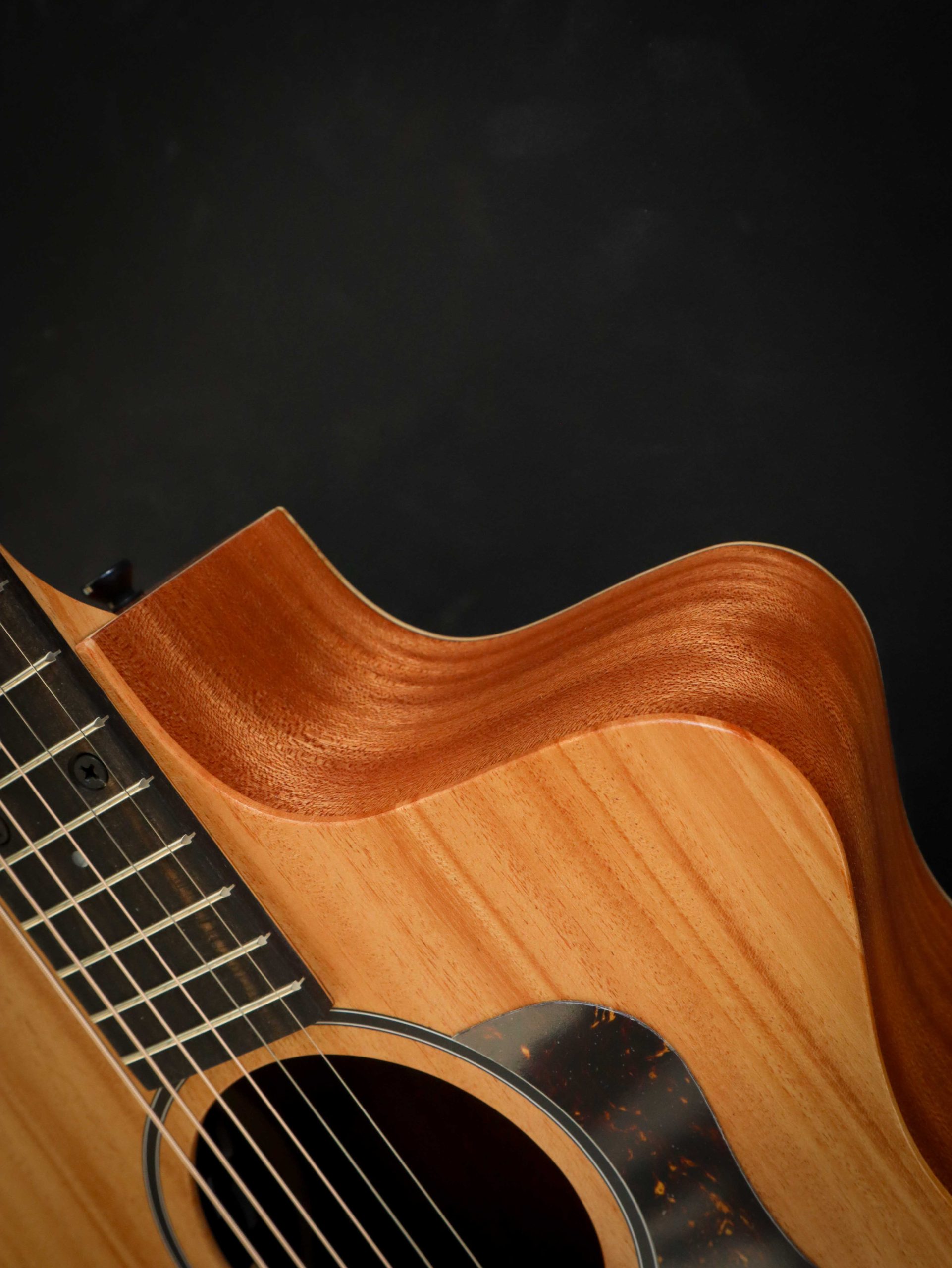 Taylor 24ce – Image 5
