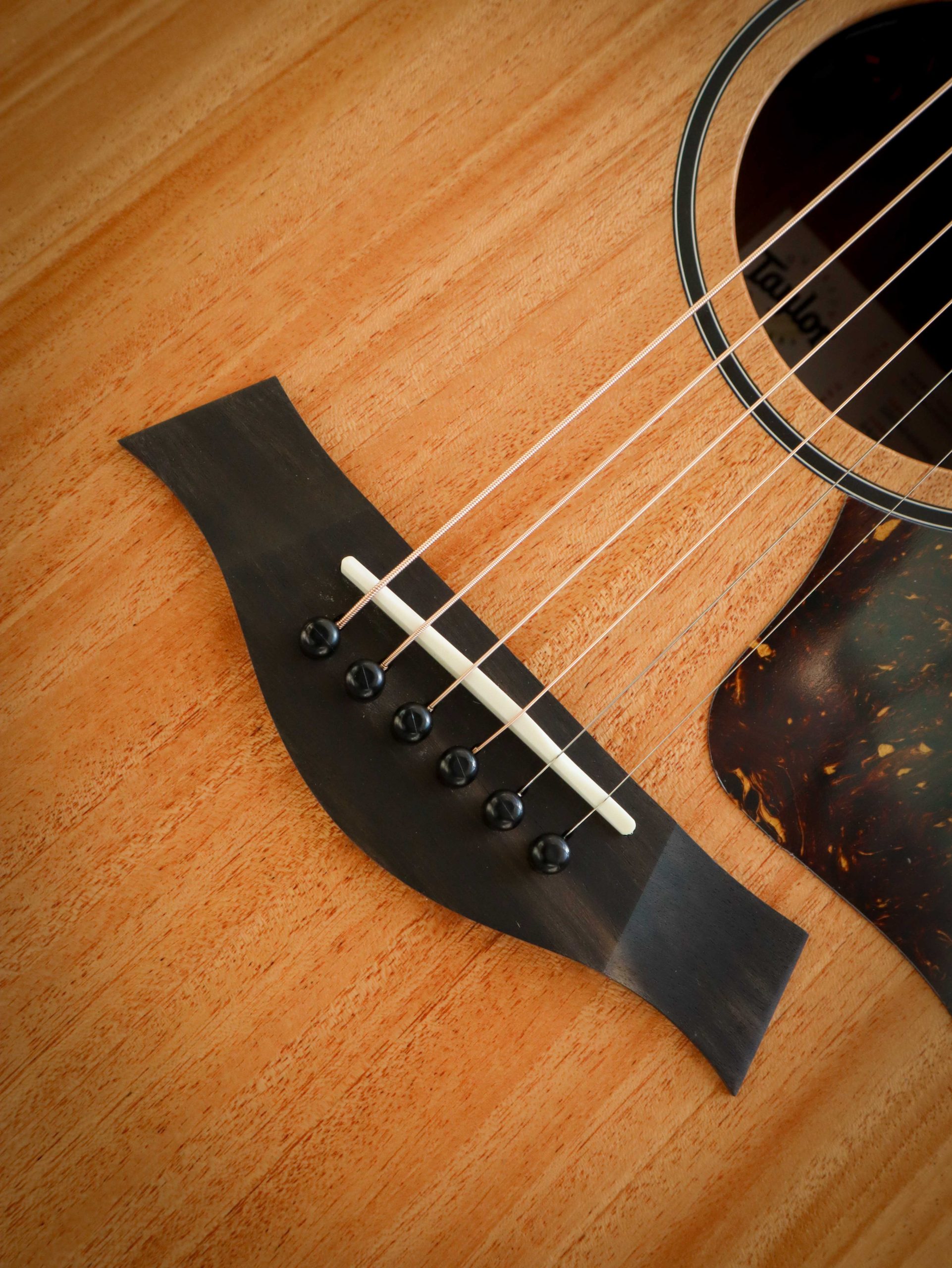 Taylor 24ce – Image 6
