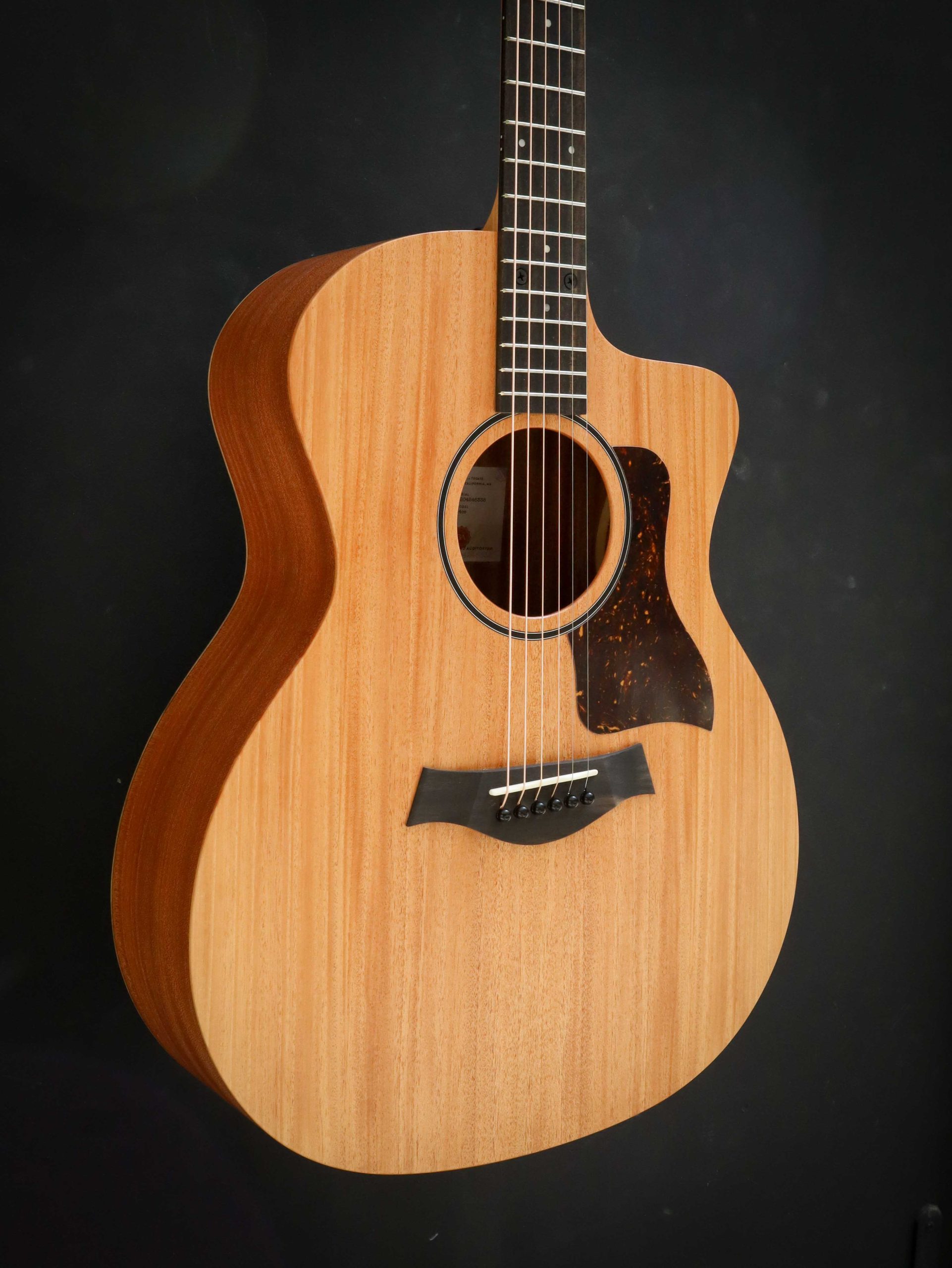 Taylor 24ce – Image 4