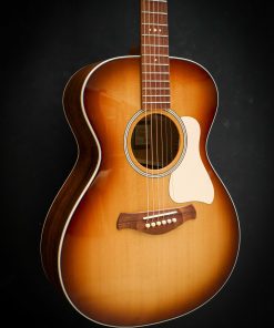 Taylor Ben Harper Gold Label 512e Special Edition – Image 5