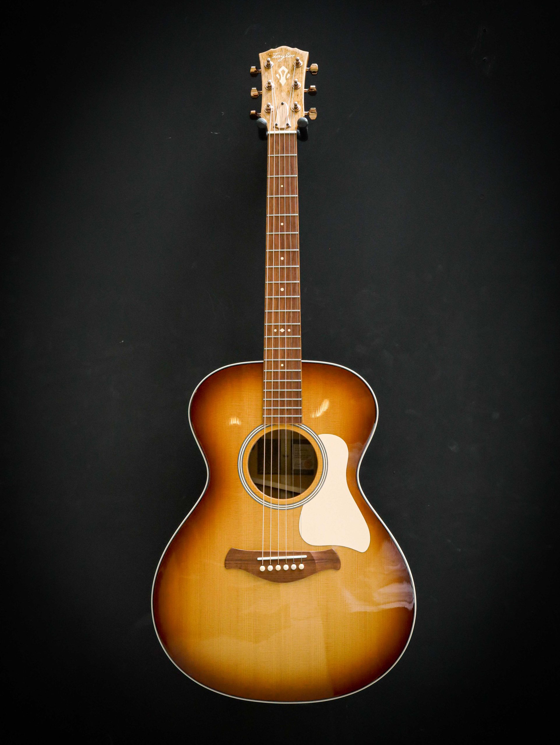 Taylor Ben Harper Gold Label 512e Special Edition – Image 2