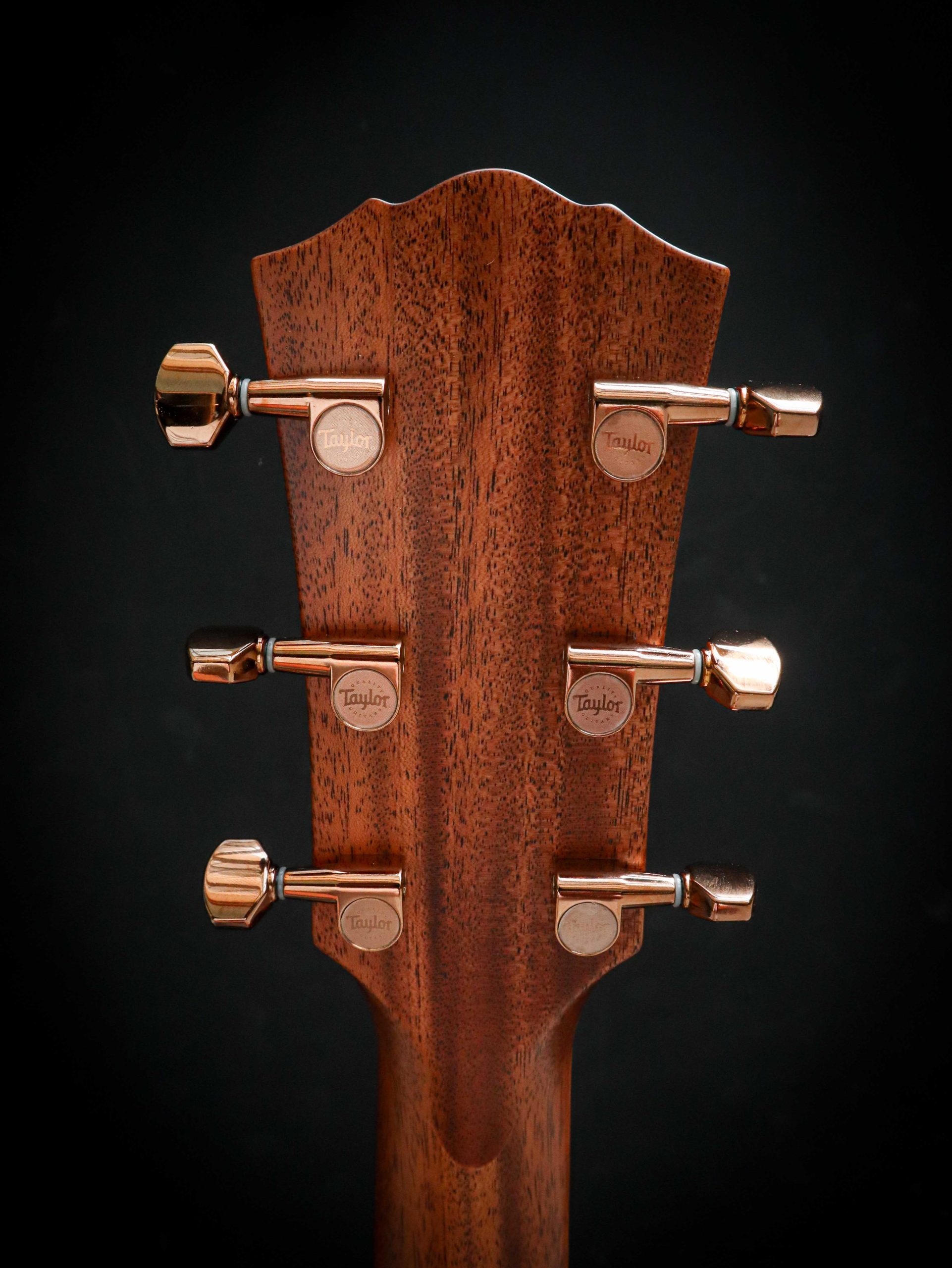 Taylor Ben Harper Gold Label 512e Special Edition – Image 12