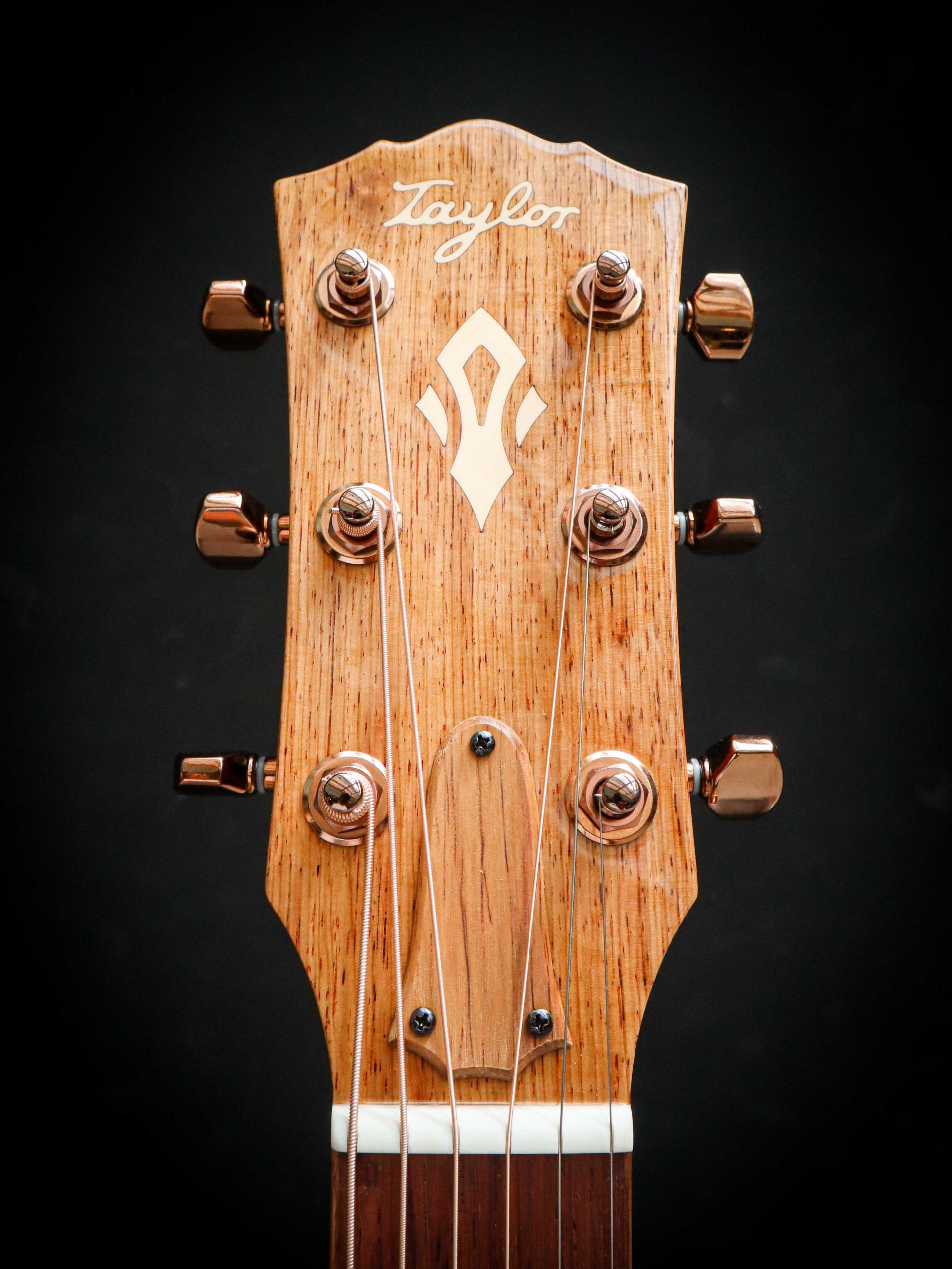 Taylor Ben Harper Gold Label 512e Special Edition – Image 11