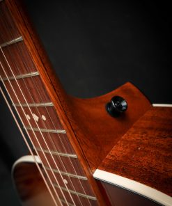Taylor Ben Harper Gold Label 512e Special Edition – Image 7
