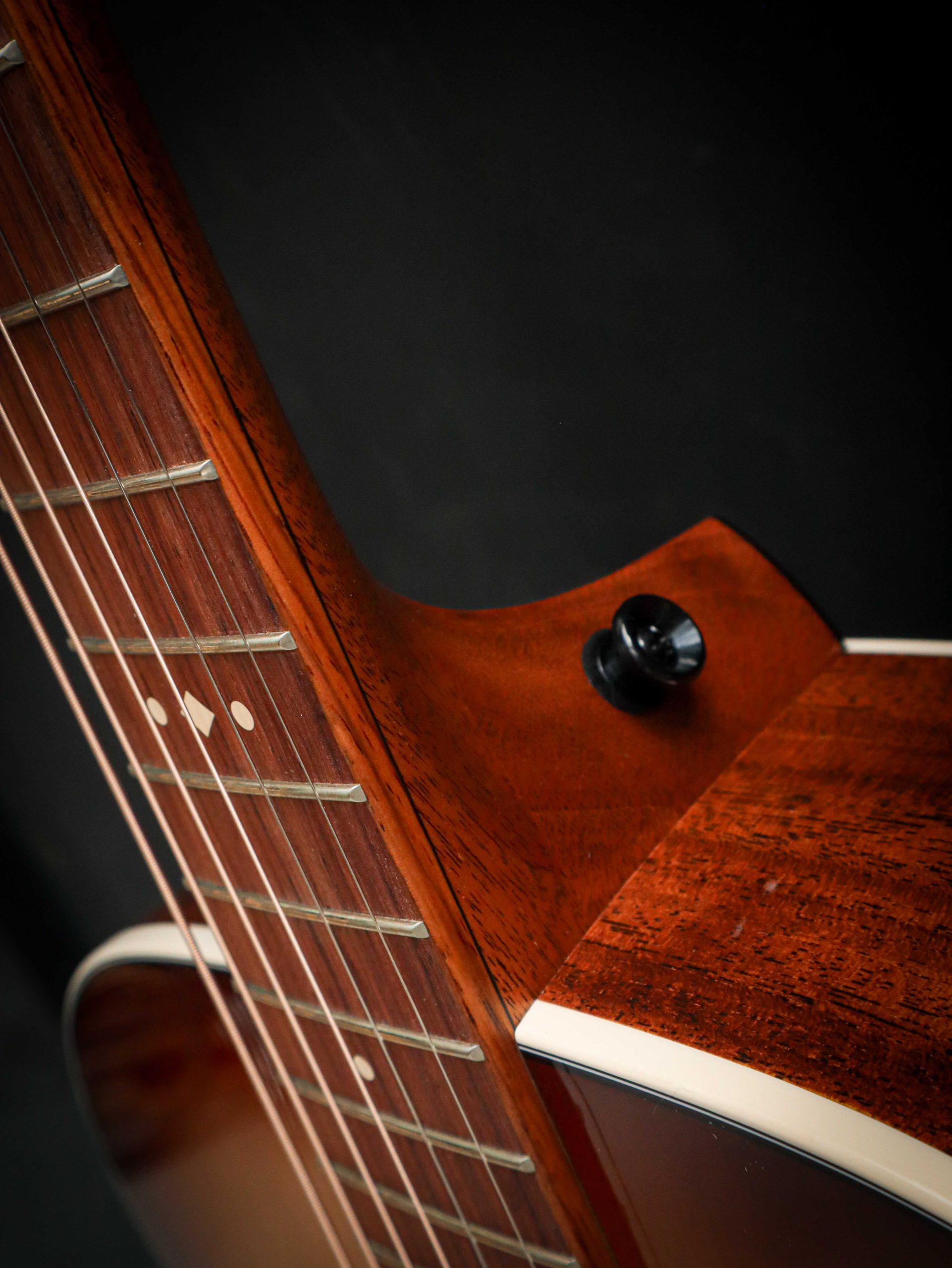 Taylor Ben Harper Gold Label 512e Special Edition – Image 7