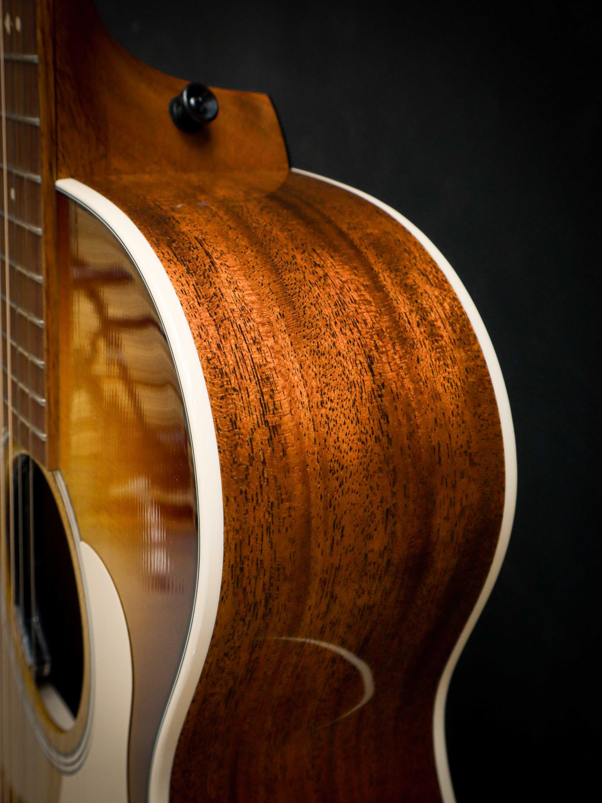 Taylor Ben Harper Gold Label 512e Special Edition – Image 8