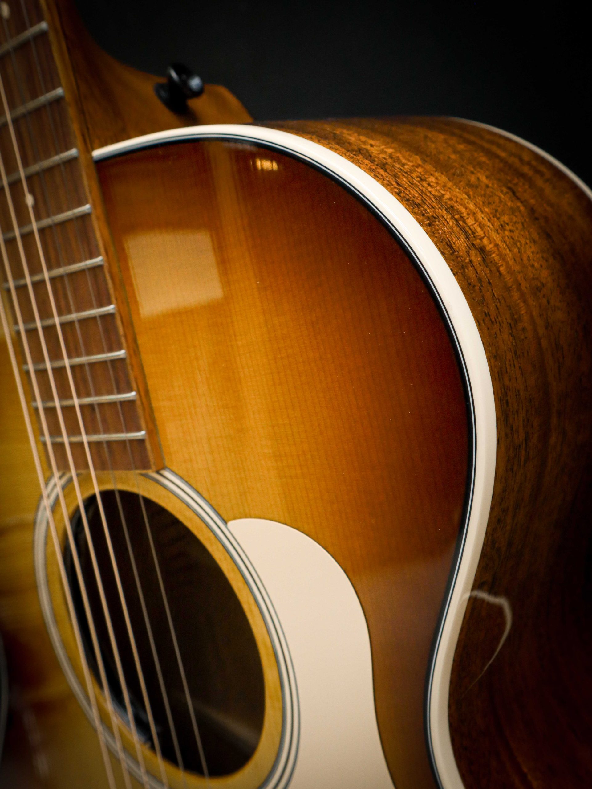 Taylor Ben Harper Gold Label 512e Special Edition – Image 6