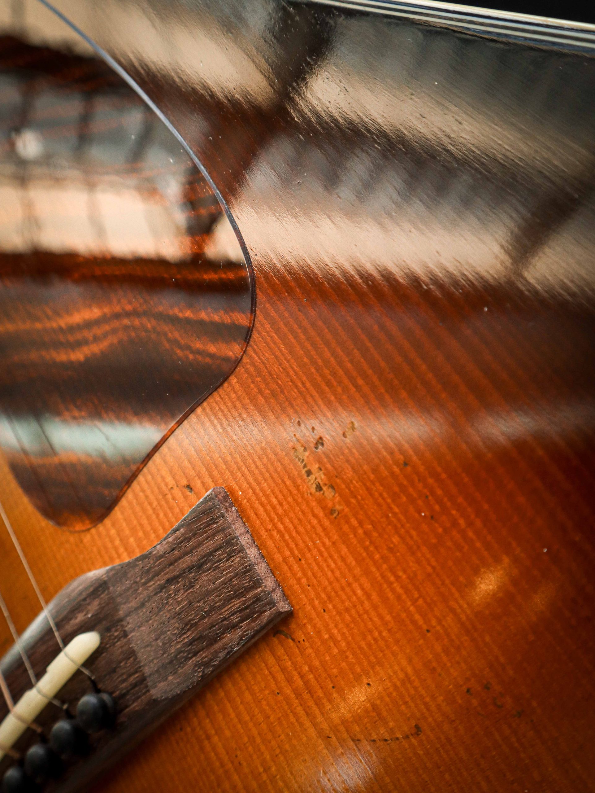 Eastman E22 SS/v – Image 8