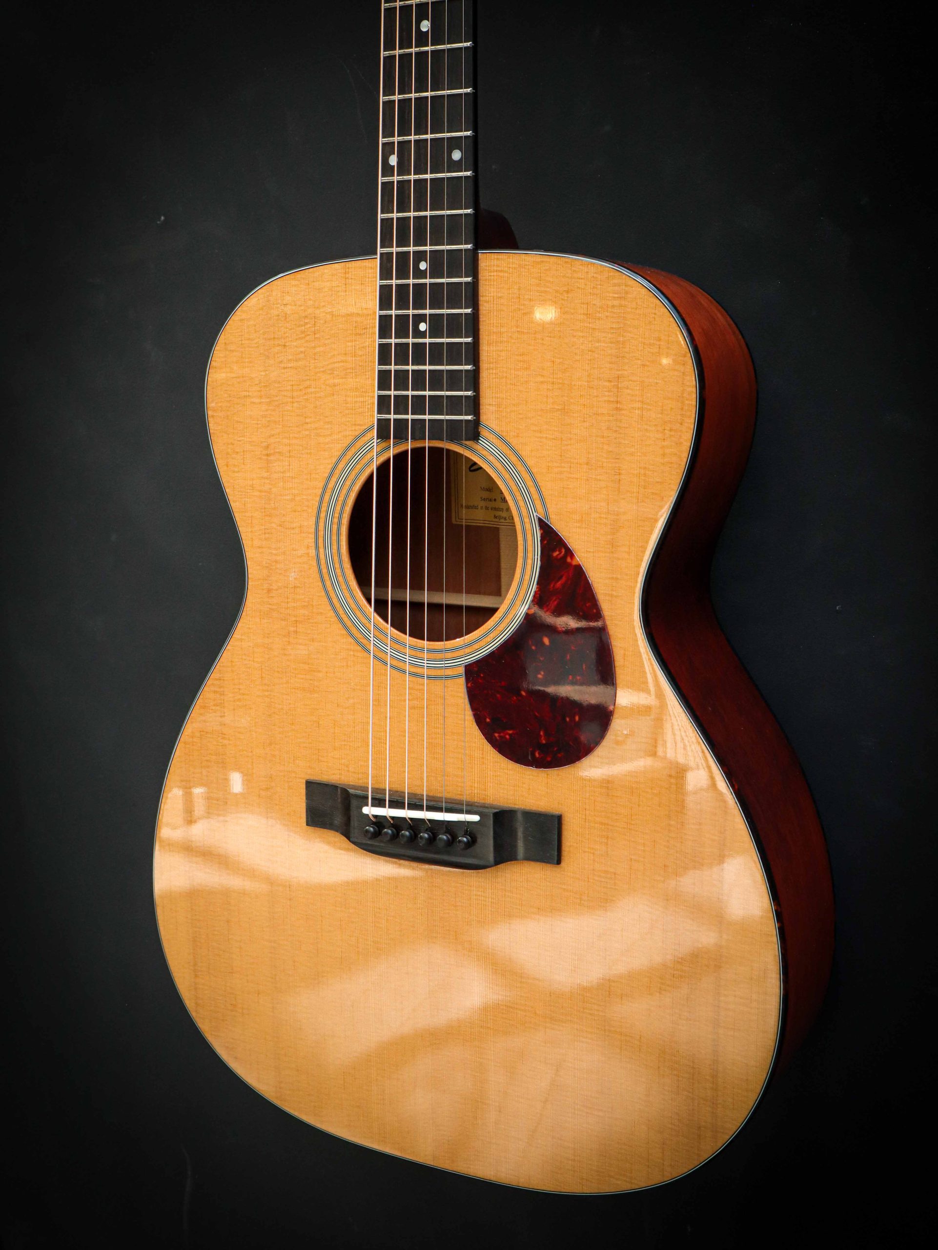 Eastman E6 OM TC – Image 6